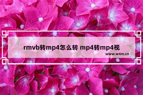 rmvb转mp4怎么转 mp4转mp4视频的方法