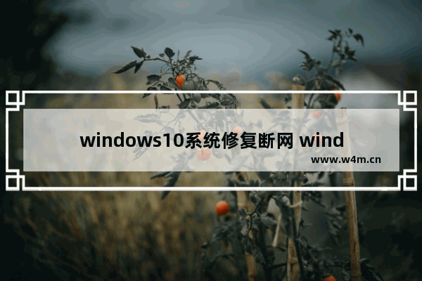 windows10系统修复断网 windows10电脑断网怎么修复