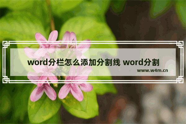 word分栏怎么添加分割线 word分割线的绘制技巧