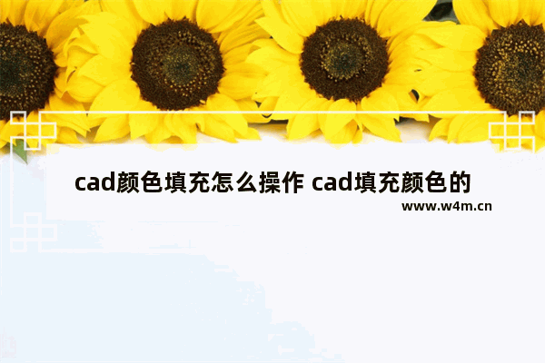 cad颜色填充怎么操作 cad填充颜色的方法技巧