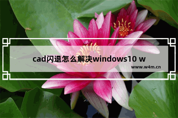 cad闪退怎么解决windows10 windows10系统cad安装时闪退怎么办