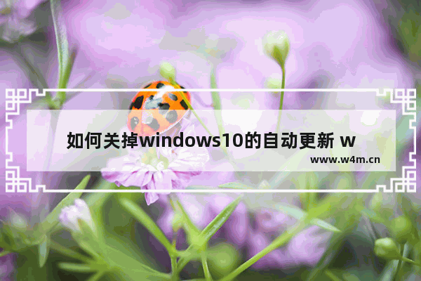 如何关掉windows10的自动更新 windows10自动更新怎么关掉