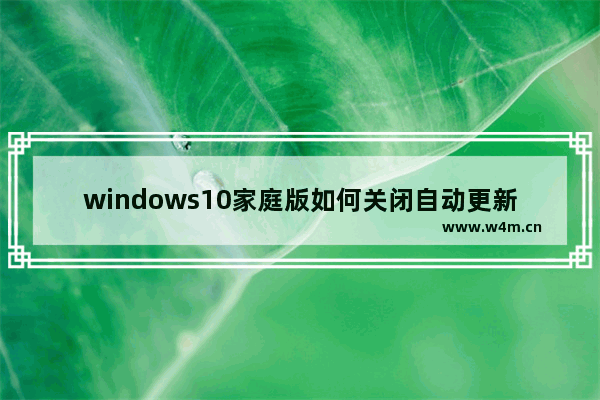 windows10家庭版如何关闭自动更新 windows10家庭版关闭自动更新方法