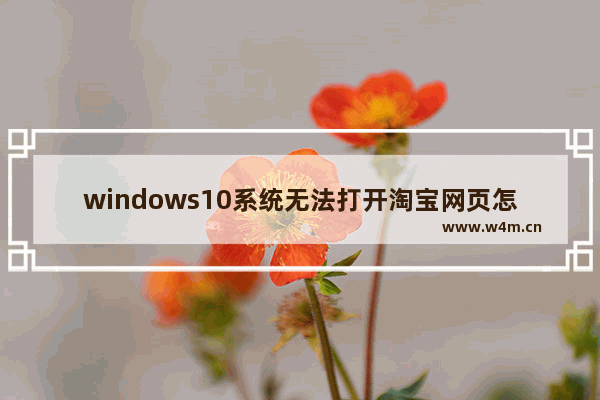 windows10系统无法打开淘宝网页怎么回事 windows10淘宝网页打不开怎么回事