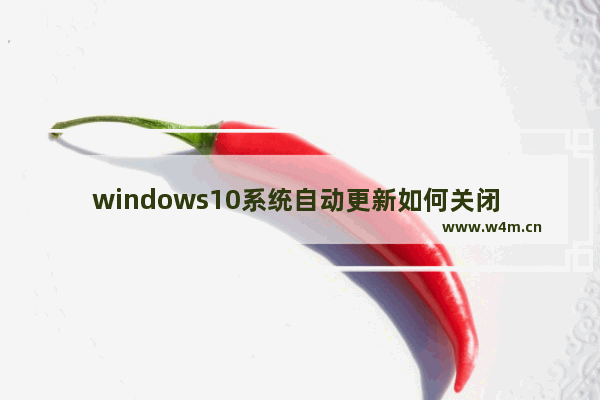 windows10系统自动更新如何关闭 如何关闭windows10自动更新