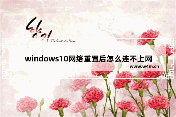 windows10网络重置后怎么连不上网 windows10网络重置连不上网了怎么办