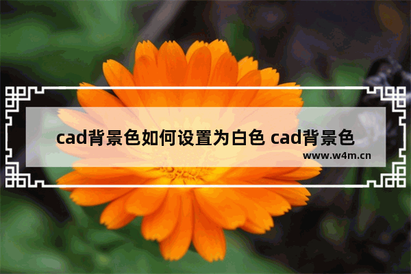 cad背景色如何设置为白色 cad背景色换成白色的方法