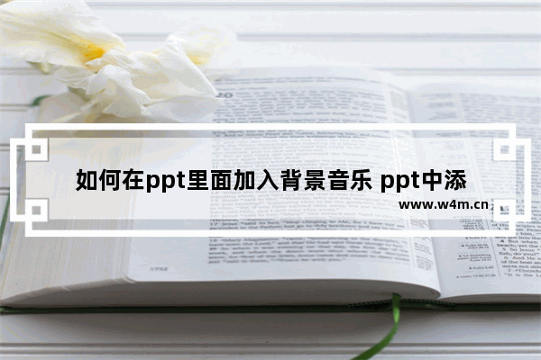 如何在ppt里面加入背景音乐 ppt中添加音乐的方法步骤