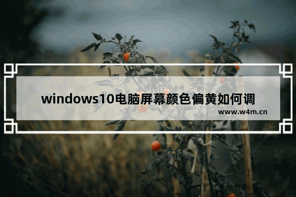 windows10电脑屏幕颜色偏黄如何调 windows10系统电脑屏幕颜色偏黄如何调节