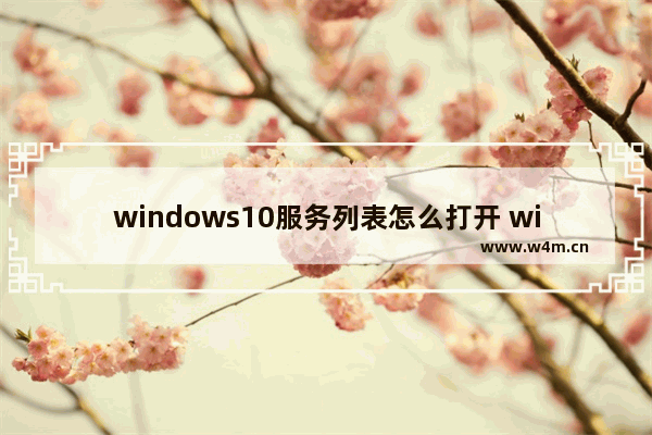 windows10服务列表怎么打开 windows10电脑怎么打开服务列表