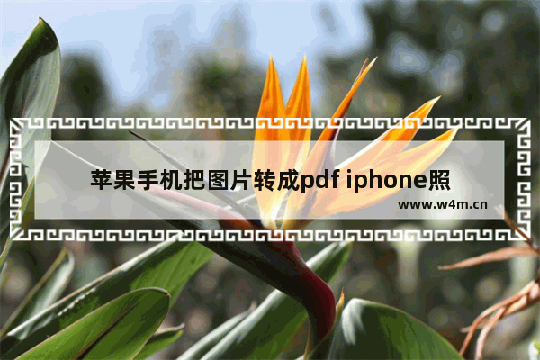 苹果手机把图片转成pdf iphone照片转为pdf的方法