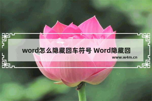 word怎么隐藏回车符号 Word隐藏回车符号方法