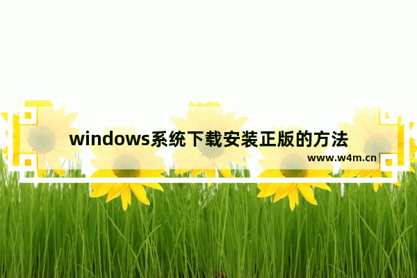 windows系统下载安装正版的方法