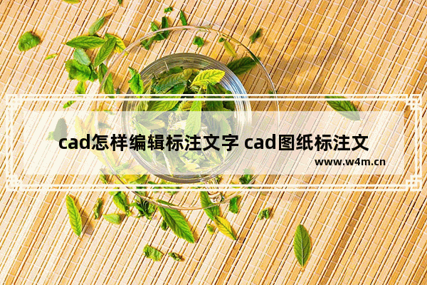 cad怎样编辑标注文字 cad图纸标注文字的方法