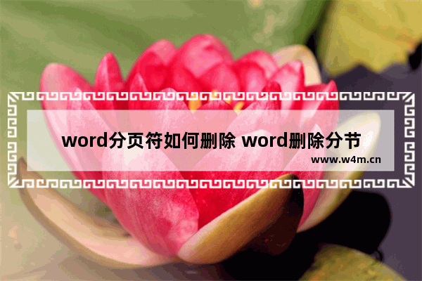 word分页符如何删除 word删除分节符的方法