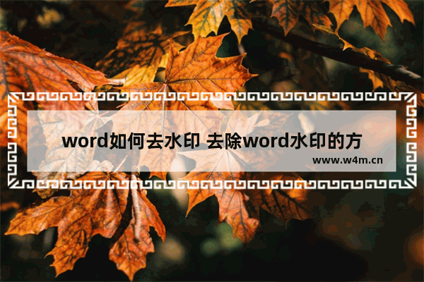 word如何去水印 去除word水印的方法