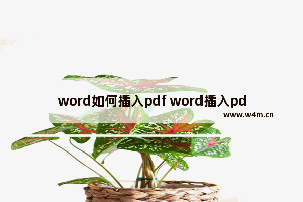 word如何插入pdf word插入pdf的方法