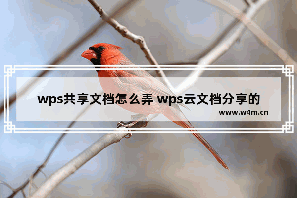 wps共享文档怎么弄 wps云文档分享的方法