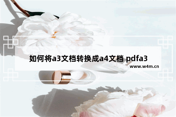 如何将a3文档转换成a4文档 pdfa3版转成a4版的方法