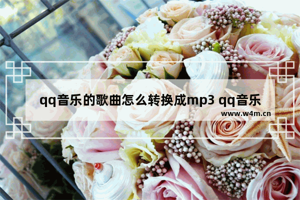 qq音乐的歌曲怎么转换成mp3 qq音乐下载歌曲转成mp3的方法