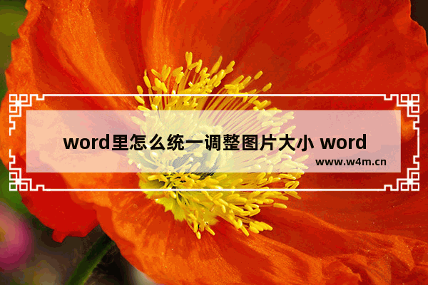 word里怎么统一调整图片大小 word统一调整图片尺寸的方法