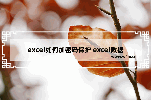 excel如何加密码保护 excel数据加密方法大全