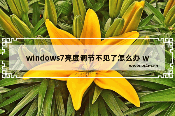 windows7亮度调节不见了怎么办 windows7电脑亮度调节不见了