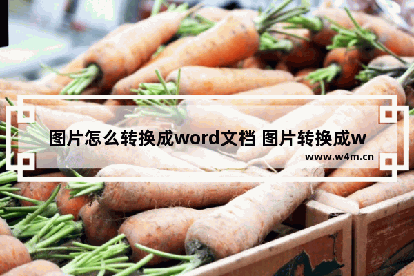 图片怎么转换成word文档 图片转换成word格式的方法