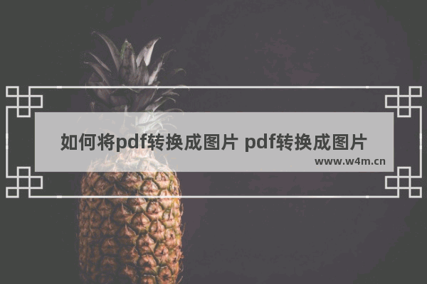 如何将pdf转换成图片 pdf转换成图片的简单方法