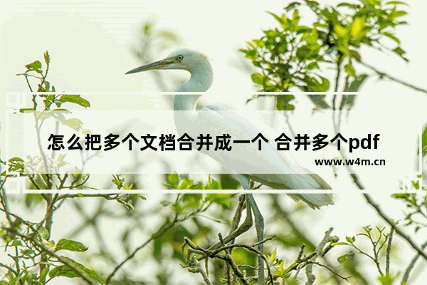 怎么把多个文档合并成一个 合并多个pdf文件简单的方法
