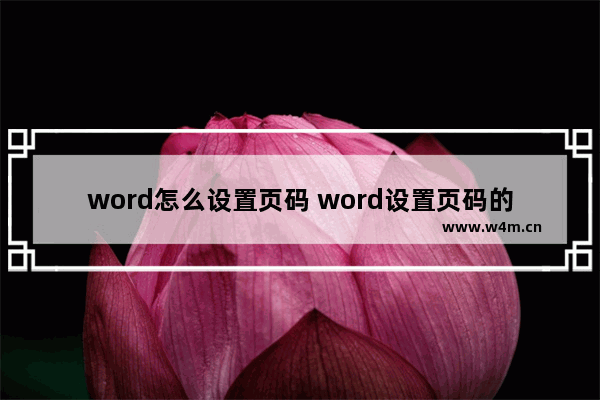 word怎么设置页码 word设置页码的方法