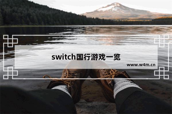 switch国行游戏一览