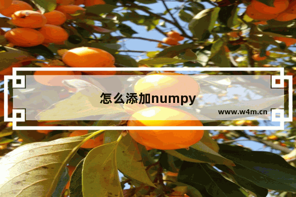 怎么添加numpy