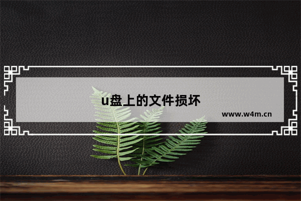 u盘上的文件损坏