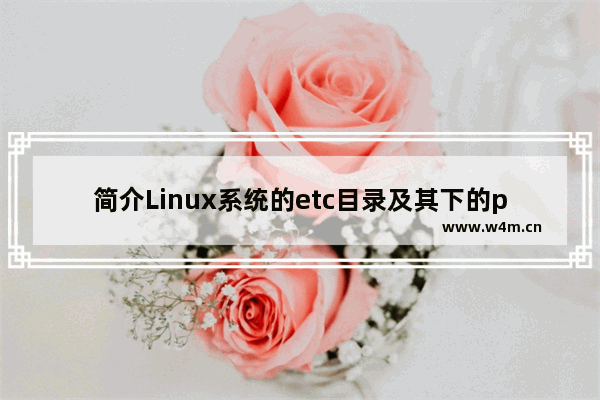 简介Linux系统的etc目录及其下的passwd文件