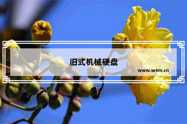 旧式机械硬盘