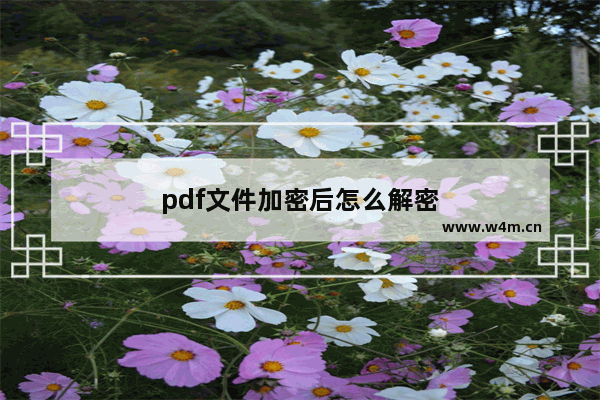 pdf文件加密后怎么解密