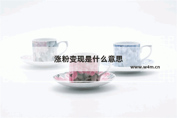 涨粉变现是什么意思