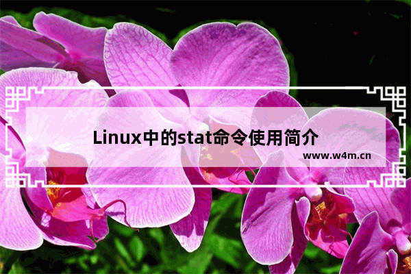 Linux中的stat命令使用简介