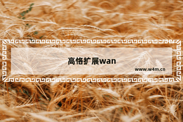 高恪扩展wan