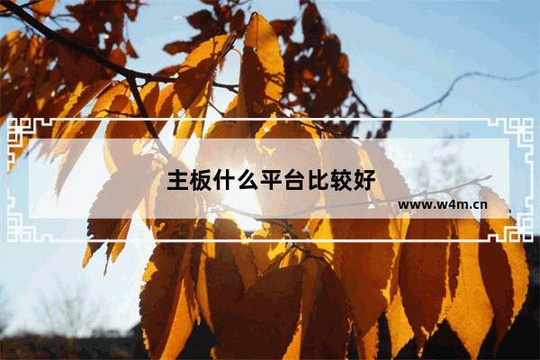 主板什么平台比较好