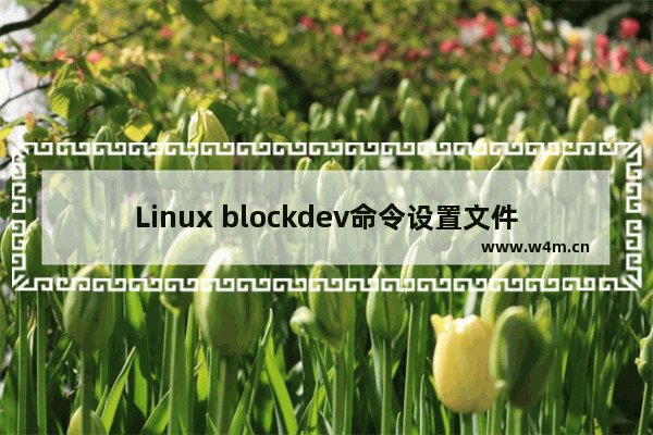 Linux blockdev命令设置文件预读大小介绍