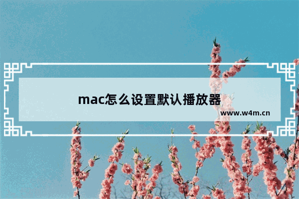 mac怎么设置默认播放器