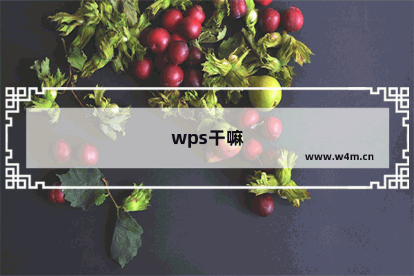 wps干嘛