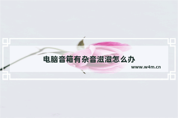 电脑音箱有杂音滋滋怎么办