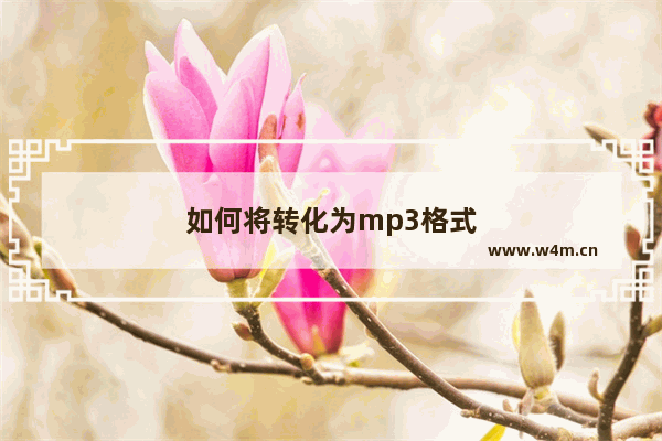 如何将转化为mp3格式