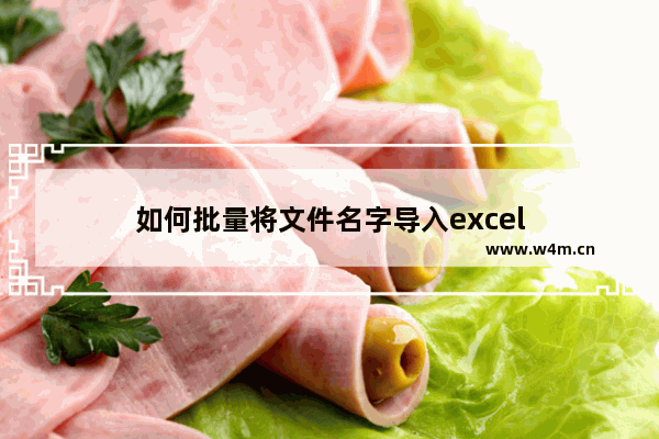 如何批量将文件名字导入excel