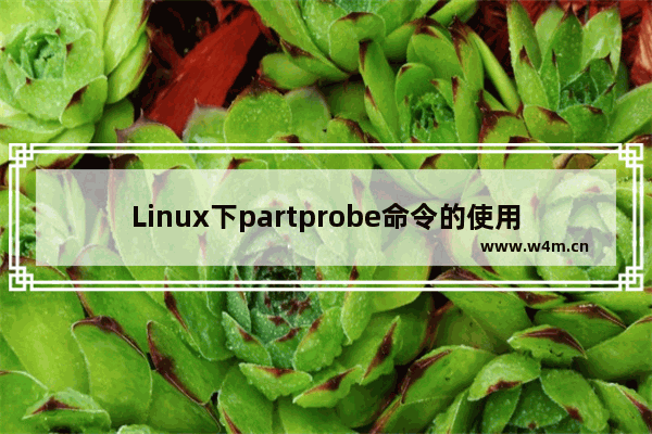 Linux下partprobe命令的使用详解