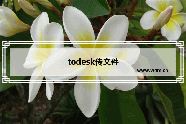 todesk传文件