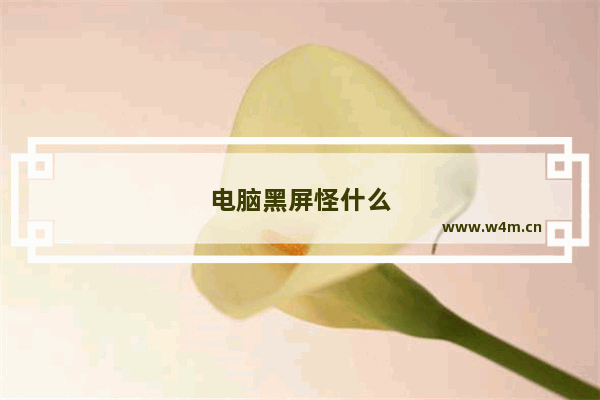 电脑黑屏怪什么